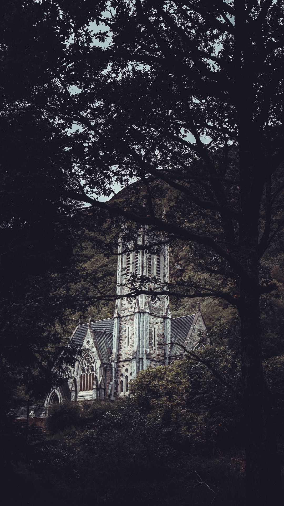 Download wallpaper 1080x1920 architecture, castle, forest, branches