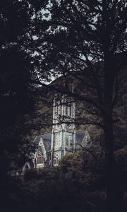 Preview wallpaper architecture, castle, forest, branches