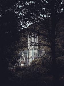 Preview wallpaper architecture, castle, forest, branches