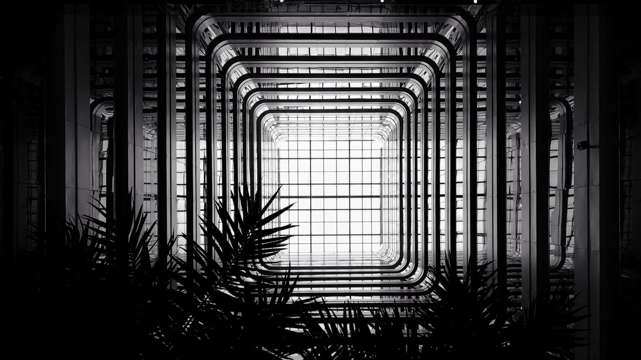 Wallpaper architecture, construction, bw, branches