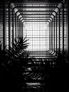 Preview wallpaper architecture, construction, bw, branches