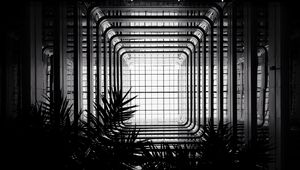 Preview wallpaper architecture, construction, bw, branches
