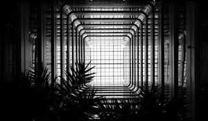 Preview wallpaper architecture, construction, bw, branches