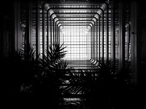 Preview wallpaper architecture, construction, bw, branches