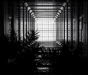 Preview wallpaper architecture, construction, bw, branches