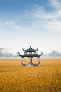 Preview wallpaper architecture, pagoda, structure, field