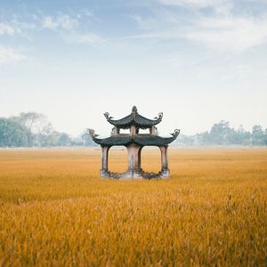 Preview wallpaper architecture, pagoda, structure, field