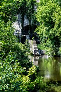 Preview wallpaper arika, steps, bricks, trees, river, nature