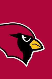 Preview wallpaper arizona cardinals, sports team, football club, az