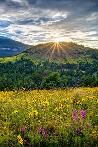 Preview wallpaper arizona, valley, mountains, flowers