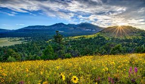 Preview wallpaper arizona, valley, mountains, flowers