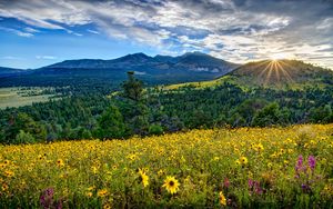 Preview wallpaper arizona, valley, mountains, flowers