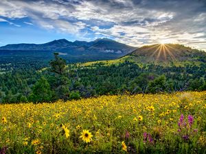 Preview wallpaper arizona, valley, mountains, flowers