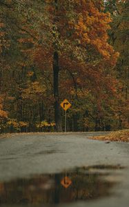 Preview wallpaper arrow, trees, forest, autumn, sign