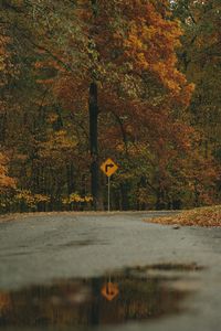 Preview wallpaper arrow, trees, forest, autumn, sign
