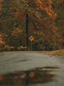 Preview wallpaper arrow, trees, forest, autumn, sign