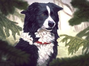 Preview wallpaper art, dog, tree, fir, pine needles, dog collar