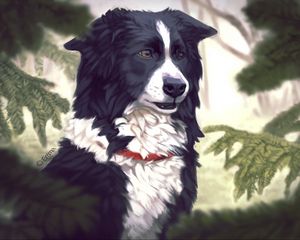 Preview wallpaper art, dog, tree, fir, pine needles, dog collar