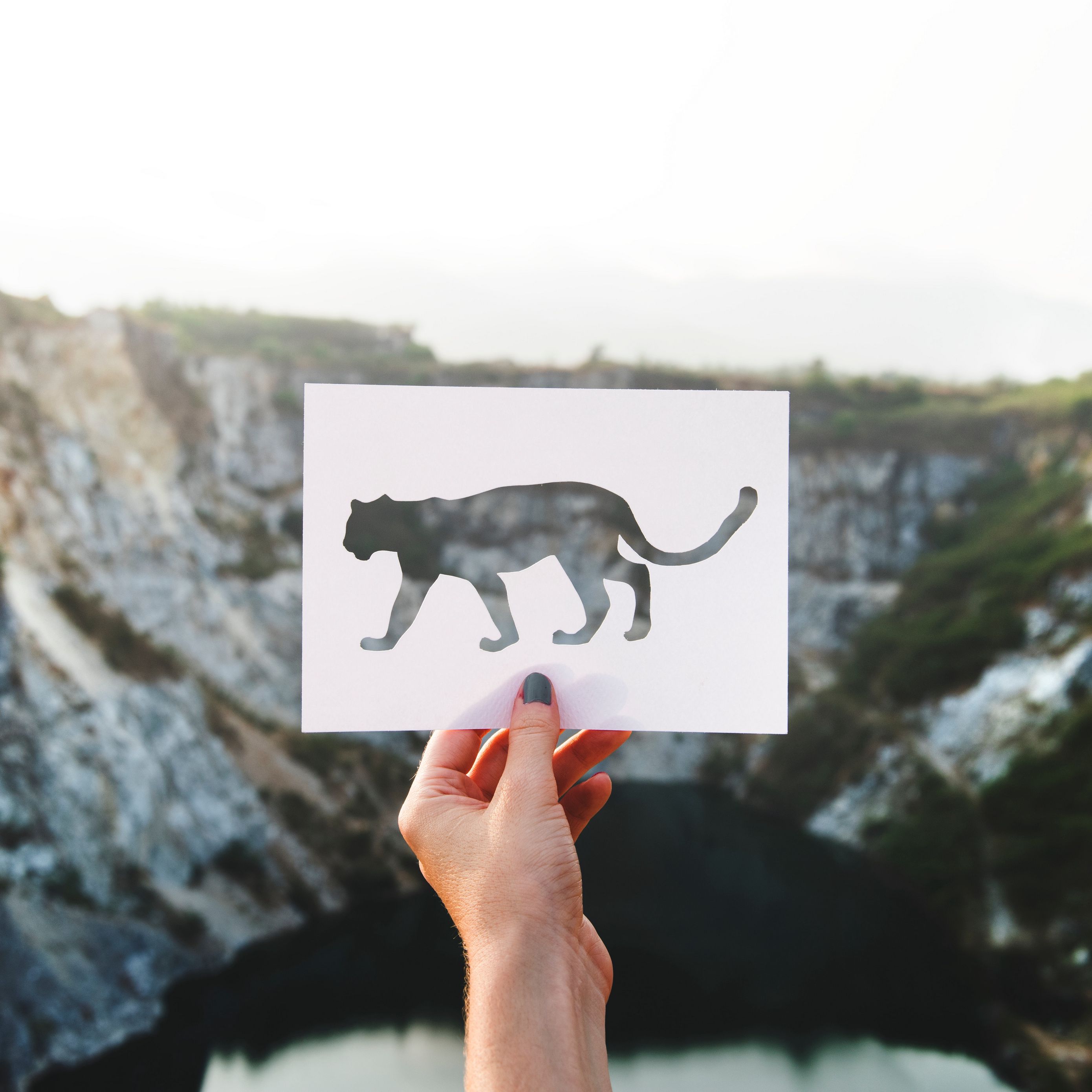 2780x2780 Wallpaper art, leaf, leopard, hand