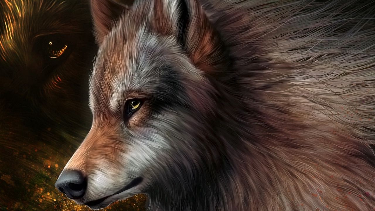 Wallpaper art, wolf, graphics, wool
