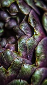 Preview wallpaper artichoke, macro, petals, plant, vegetable