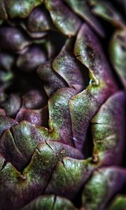 Preview wallpaper artichoke, macro, petals, plant, vegetable