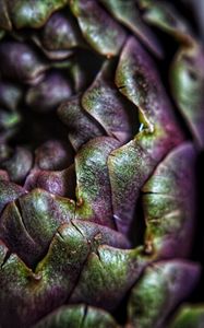 Preview wallpaper artichoke, macro, petals, plant, vegetable