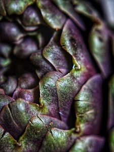 Preview wallpaper artichoke, macro, petals, plant, vegetable