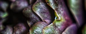 Preview wallpaper artichoke, macro, petals, plant, vegetable