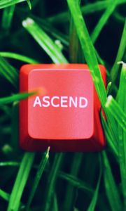 Preview wallpaper ascend, word, button, grass