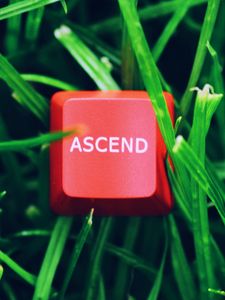 Preview wallpaper ascend, word, button, grass