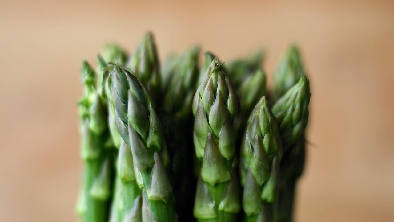 Wallpaper asparagus, vegetables, blur