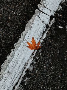 Preview wallpaper asphalt, leaf, maple, marking, road