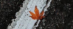 Preview wallpaper asphalt, leaf, maple, marking, road