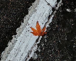 Preview wallpaper asphalt, leaf, maple, marking, road