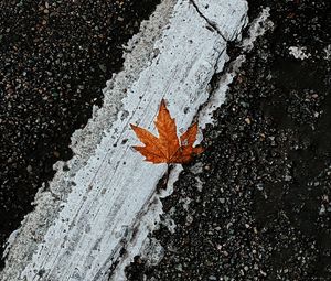 Preview wallpaper asphalt, leaf, maple, marking, road