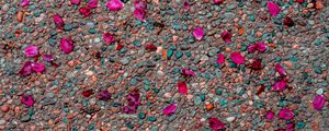 Preview wallpaper asphalt, petals, pebbles, colorful