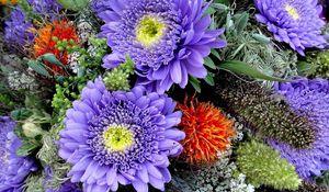 Preview wallpaper asters, flowers, bouquet, bright, close-up