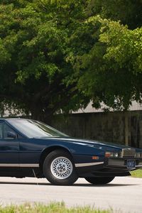 Preview wallpaper aston martin, lagonda, 1976, blue, side view, cars, nature