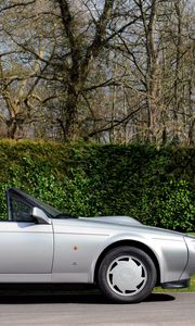 Preview wallpaper aston martin, v8, 1988, silver, side view, style, nature