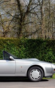 Preview wallpaper aston martin, v8, 1988, silver, side view, style, nature