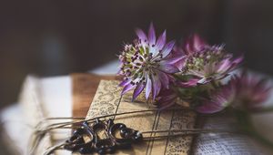 Preview wallpaper astrantia, flower, envelope, paper, blur, aesthetics