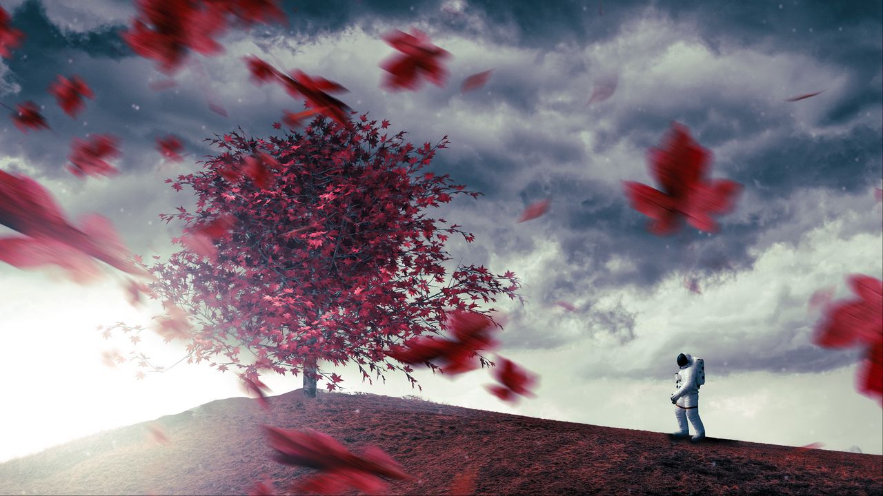 Wallpaper astronaut, tree, leaves, fall, hill