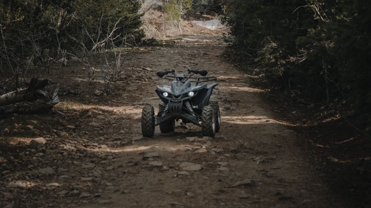 Wallpaper atv, wheels, extreme, road, forest