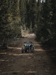 Preview wallpaper atv, wheels, extreme, road, forest