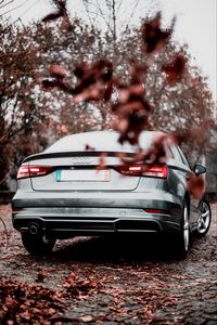 Preview wallpaper audi a3, audi, rear view, silver, defoliation