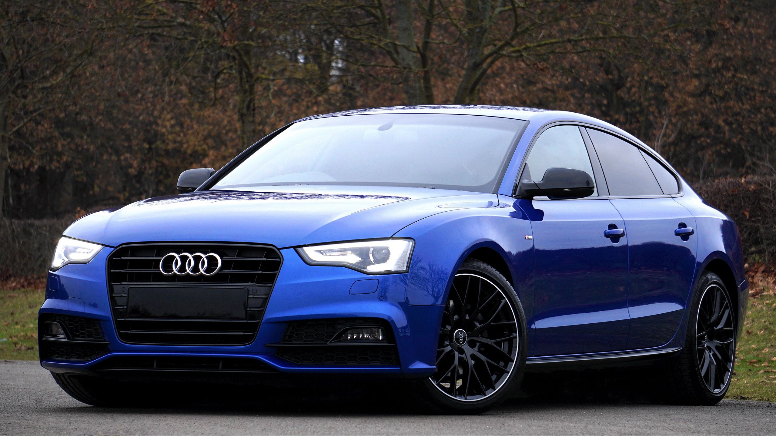 download-wallpaper-2560x1440-audi-a5-blue-side-view-widescreen-16-9