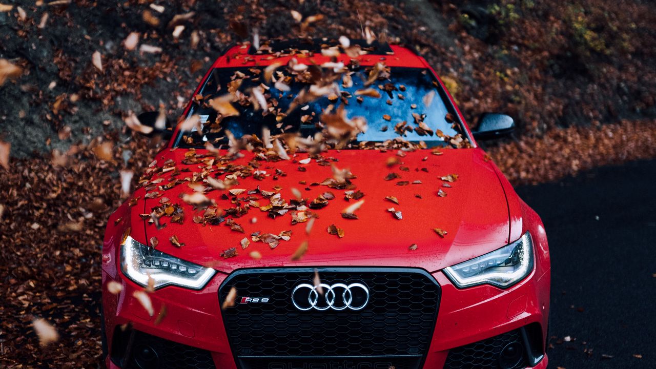 Wallpaper audi, car, front view, red, bumper, foliage, autumn
