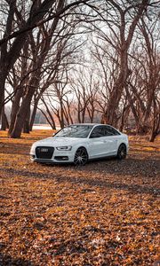 Preview wallpaper audi, car, white, trees