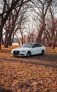 Preview wallpaper audi, car, white, trees